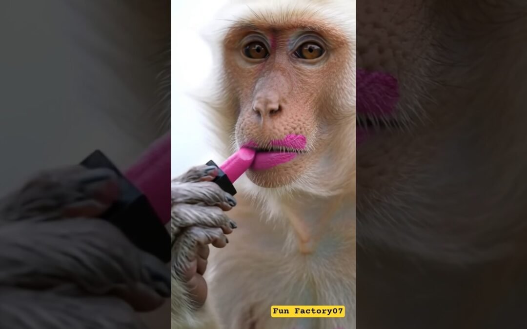 monkey lipstick video 🐵💄#funny #shorts #viralvideo #makeup